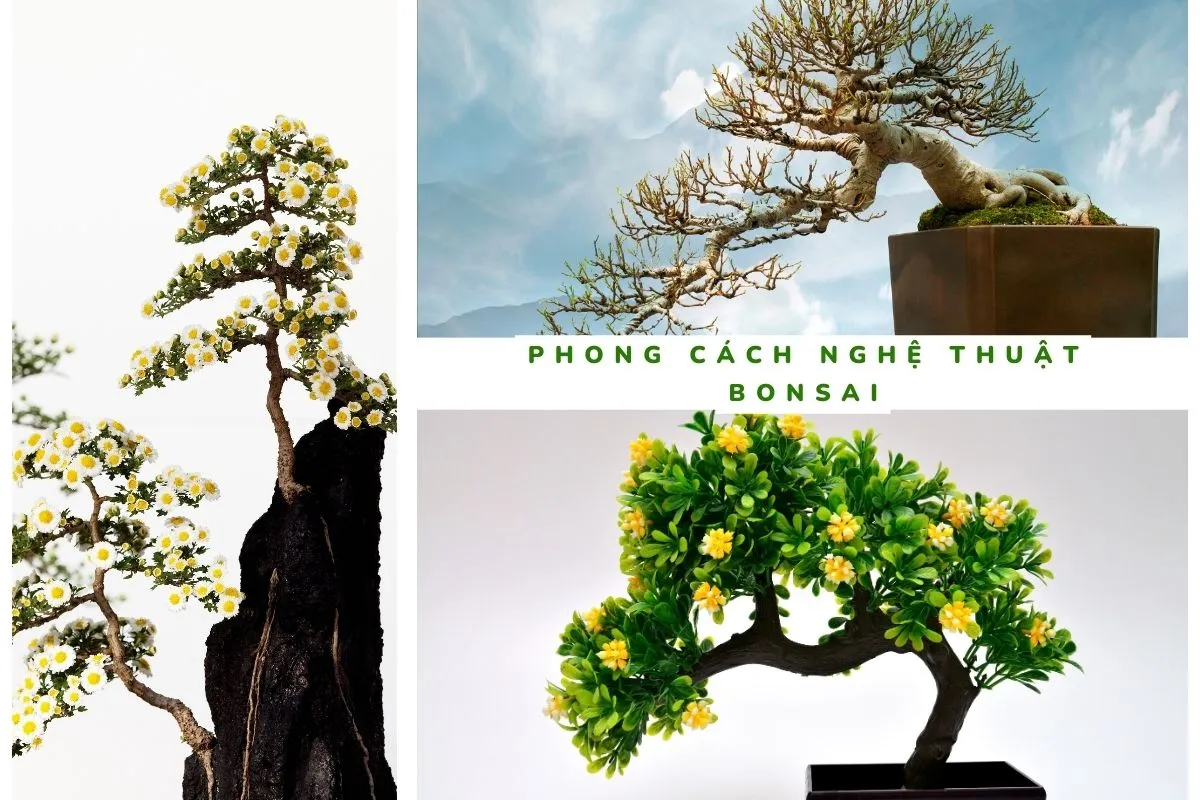 Nghệ thuật bonsai của Nhật Bản không chỉ đơn thuần là một hình thức trồng cây, mà còn là một biểu tượng của sự kết hợp giữa sự kiên nhẫn