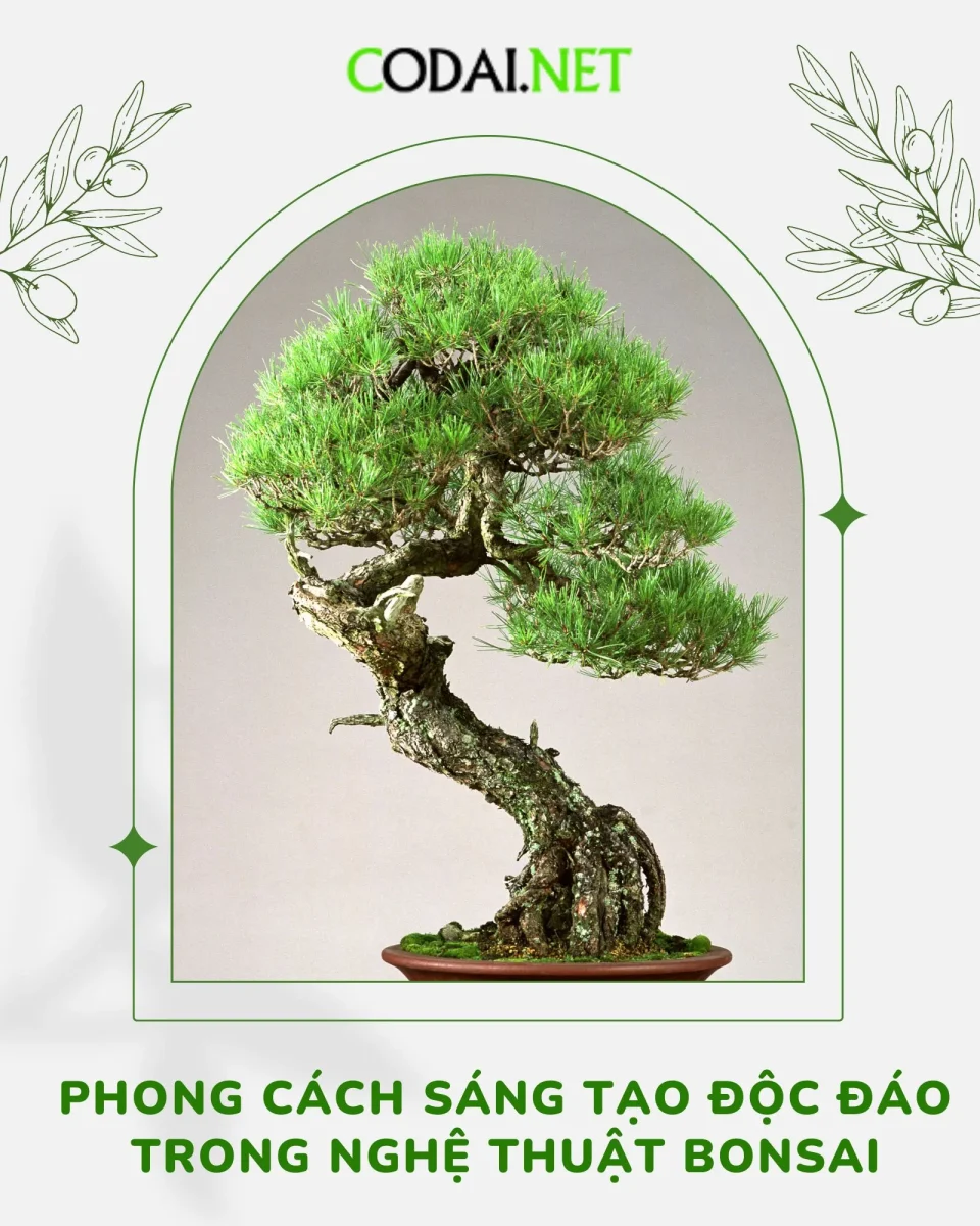 Phong cách sáng tạo độc đáo trong nghệ thuật Bonsai