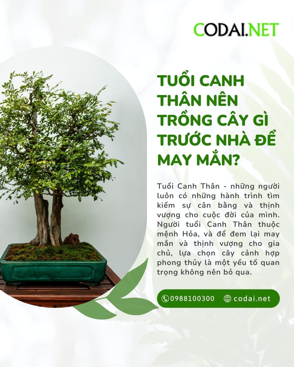 Tuổi Canh Thân trồng cây gì trước nhà để thu hút may mắn