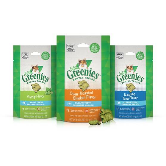 royal-canin-kitten-cho-meo-con-bao-10kg-1-1