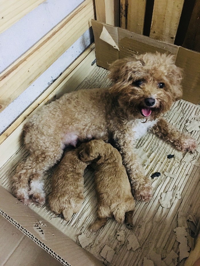 1-2
