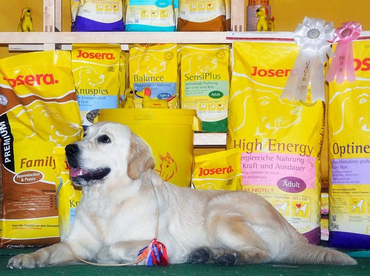 190545-2vbxm5c73666442b56-1