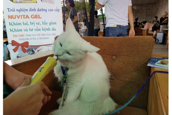 acb754b9d25b44428b991ca103646453-600x400-1