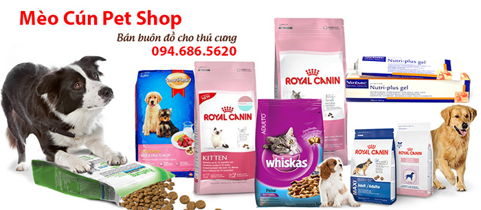 ban-buon-do-cho-cho-meo-meo-cun-pet-shop-1a-1-8