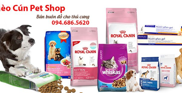 ban-buon-do-cho-cho-meo-meo-cun-pet-shop-1a-2-600x306-1