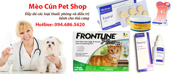 ban-buon-do-cho-cho-meo-meo-cun-pet-shop-3 Bán buôn thức ăn chó mèo, phụ kiện thú cưng Mèo Cún Pet Shop