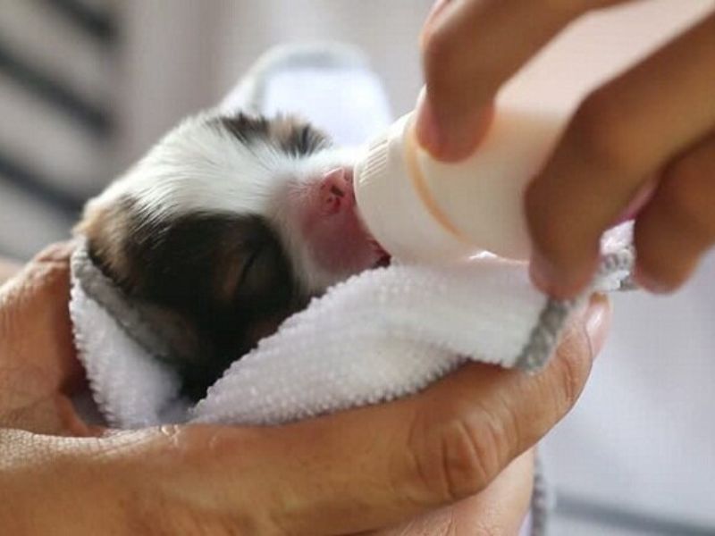 cach-cham-soc-cho-con-1-thang-tuoi-3