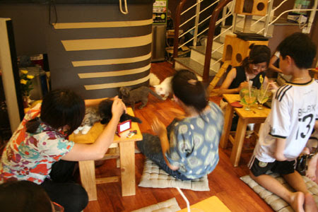 cafe-cho-meo
