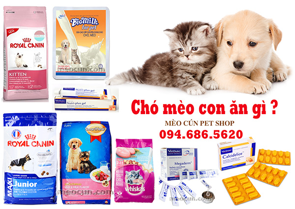 cho-meo-con-an-gi-thuc-an-cho-meo-meocunpetshop chó mèo con ăn gì ? Thức ăn cho chó mèo con giá rẻ.