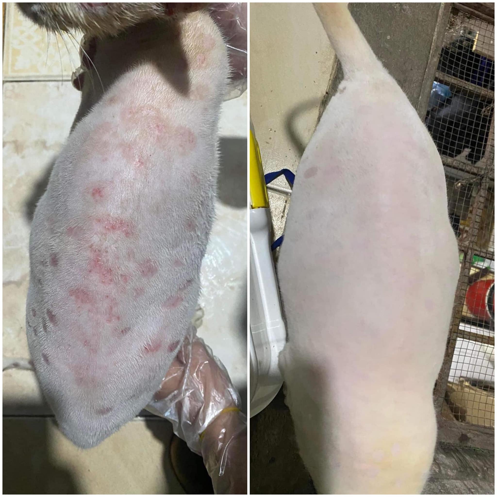 feedback-khach-hang-tri-nam-3