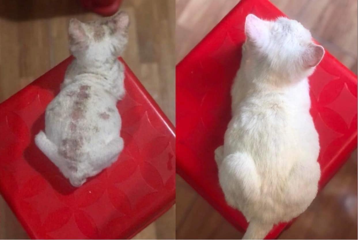 feedback-khach-hang-tri-nam-4