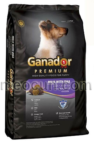 ganador-cho-cho-con-1-5kg-1-2