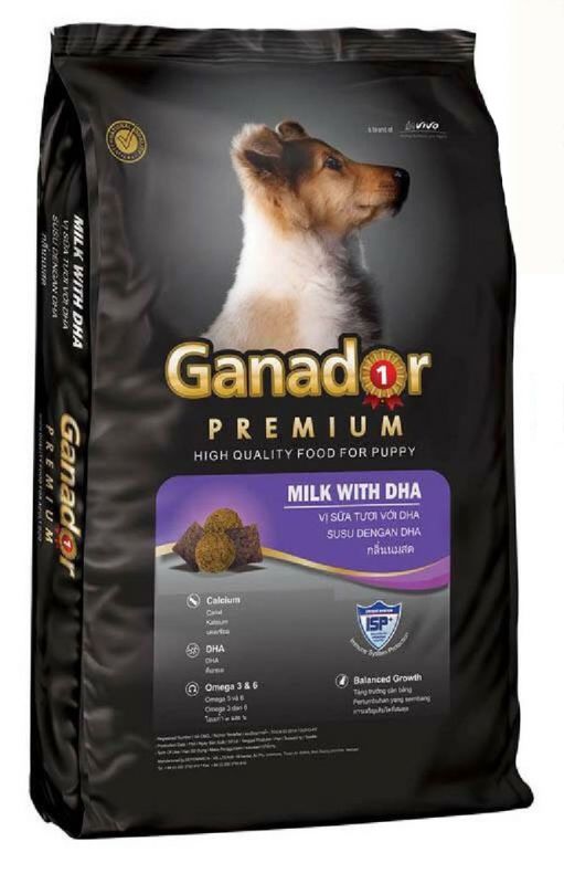 ganador-cho-cho-con-500g