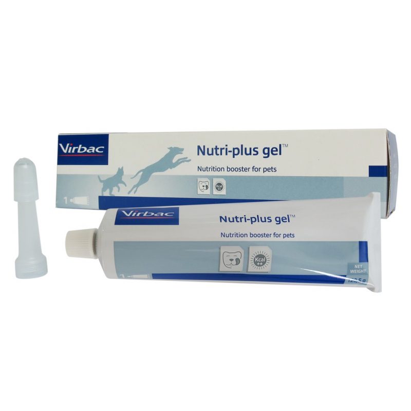 gel-nutri-plus-e1635132039101
