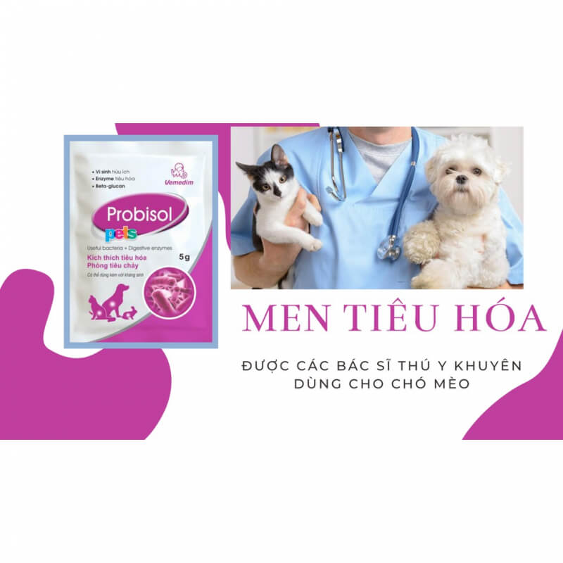 men-ho-tro-tieu-hoa-cho-cho-meo-3-1