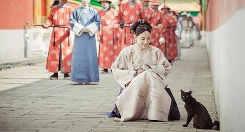 meo-bombay-trong-dien-hy-cong-luoc