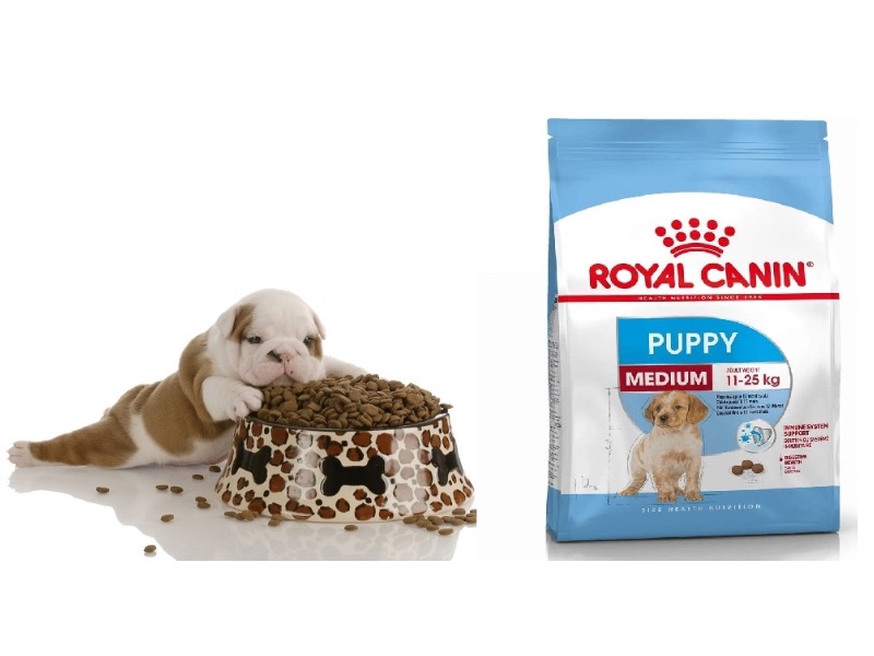 mua-si-thuc-an-royal-canin-1-1