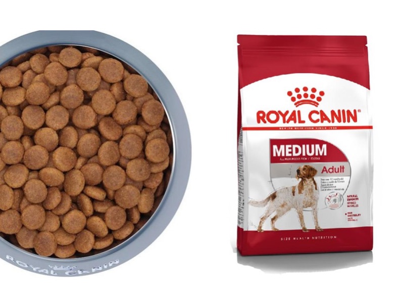 mua-si-thuc-an-royal-canin-2