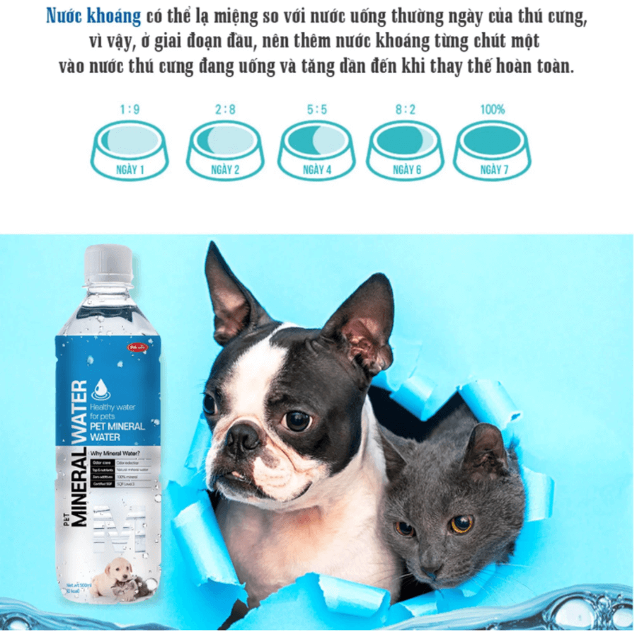 nuoc-bo-sung-khoang-chat-cho-cho-meo-3 bổ sung khoáng chất cho mèo con