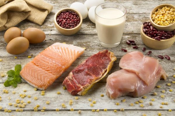 protein-dong-vat-va-thuc-vat-600x400-1