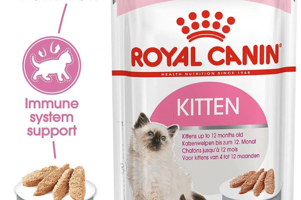 roy-canin1-600x400-1