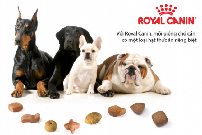 royal-canin-1