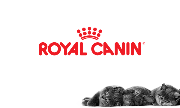 royal-canin-cho-mc3a8o-600x360-2