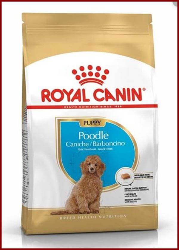 royal-canin-cho-poodle-1-1