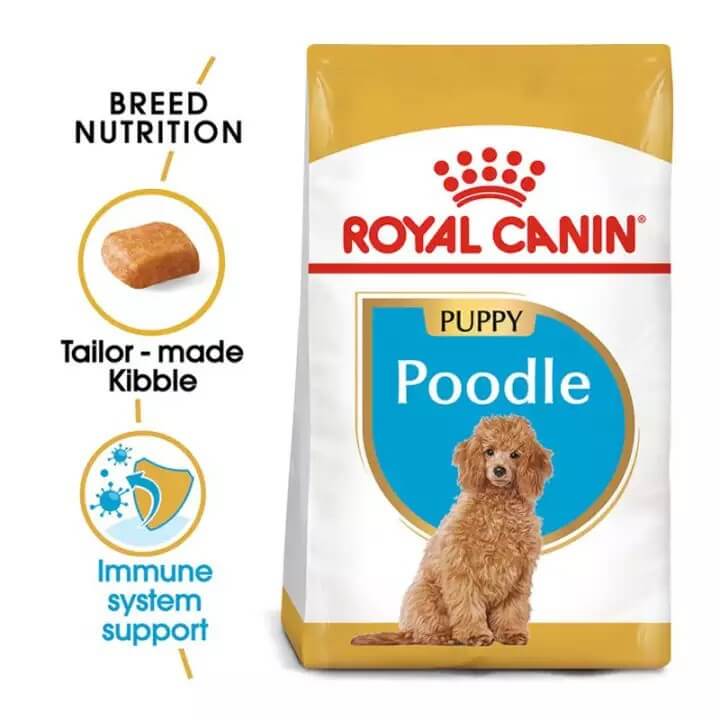 royal-canin-cho-poodle-1
