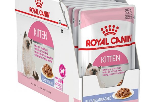 royal-canin-kitten-jelly-3-600x400-1