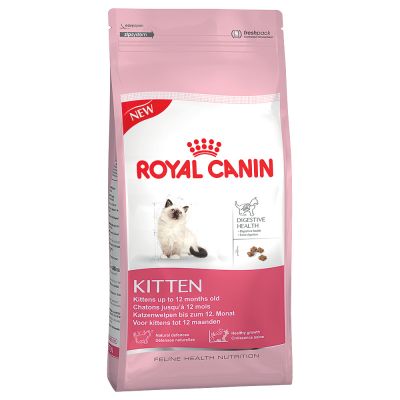 royal-kitten