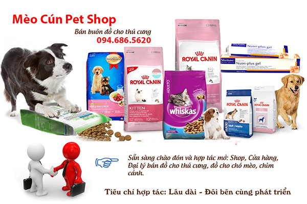 sic3aau-the1bb8b-bc3a1n-buc3b4n-c491e1bb93-cho-thc3ba-cc6b0ng-aa1 Bán buôn thức ăn chó mèo, phụ kiện thú cưng Mèo Cún Pet Shop