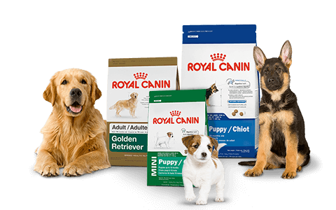 thu-an-cho-cho-meo-hieu-royal-canin00220