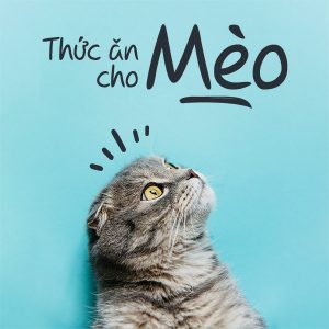 thuc-an-cho-meo-banner-300x300-1-1