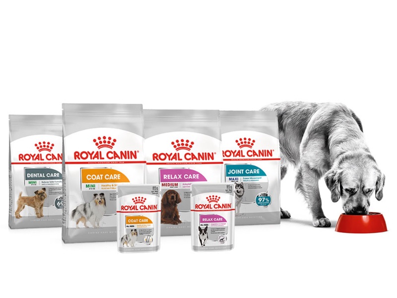 thuc-an-royal-canin-cho-cho-2-tuoi-1-1