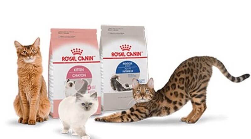 thuc-an-royal-canin-cho-meo-1