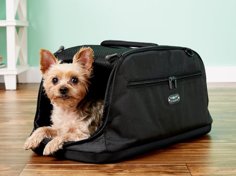 tui-van-chuyen-cho-meo-3