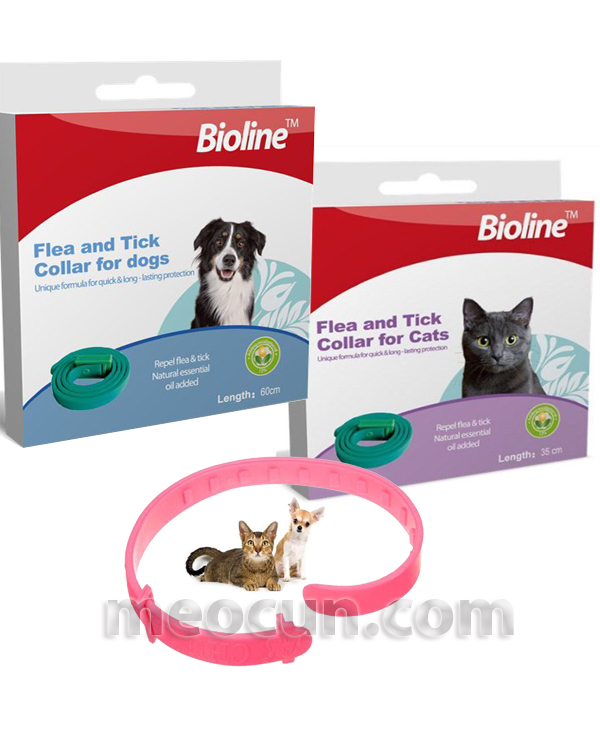 vong-chong-ve-ran-cho-meo-meocunpetshop-0946865620 Vòng chống ve rận cho chó - vòng chống rận cho mèo - meocun2.manhlinh.net