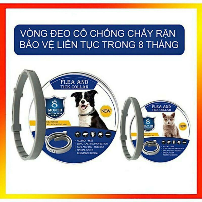vong-tri-ve-cho-cho-2