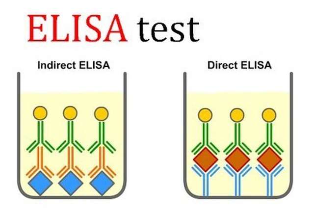 xet-nghiem-mau-elisa
