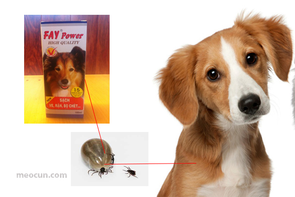 xit-ve-ran-bo-chet-cho-meo-meocun-petshop Vật dụng cần thiết khi nuôi chó - Thuốc xịt ve rận chó mèo