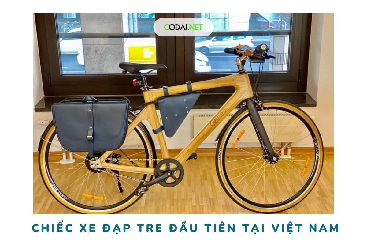 Câu chuyện thú vị về chiếc xe đạp tre đầu tiên tại Việt Nam
