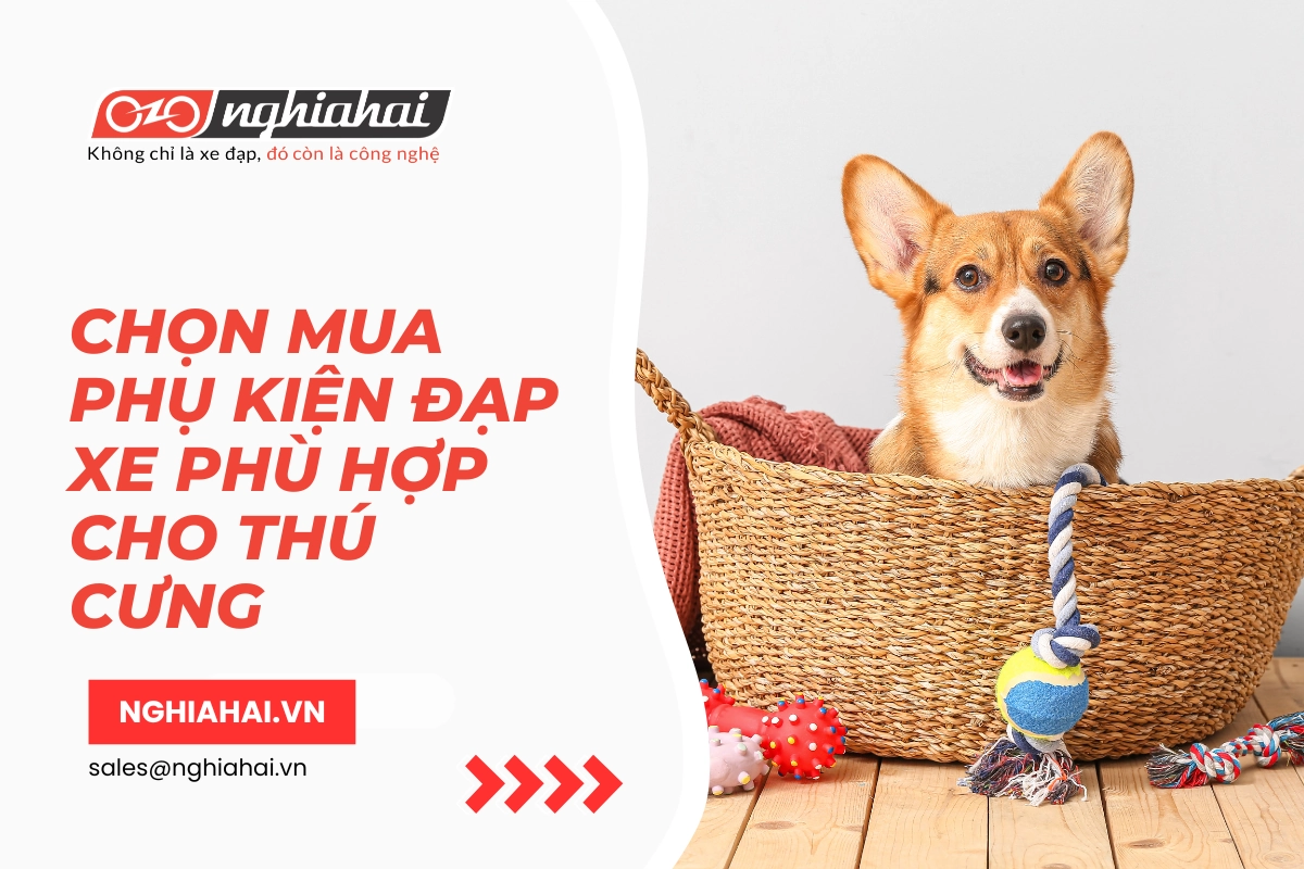 Chọn mua phụ kiện đạp xe phù hợp cho thú cưng (3)