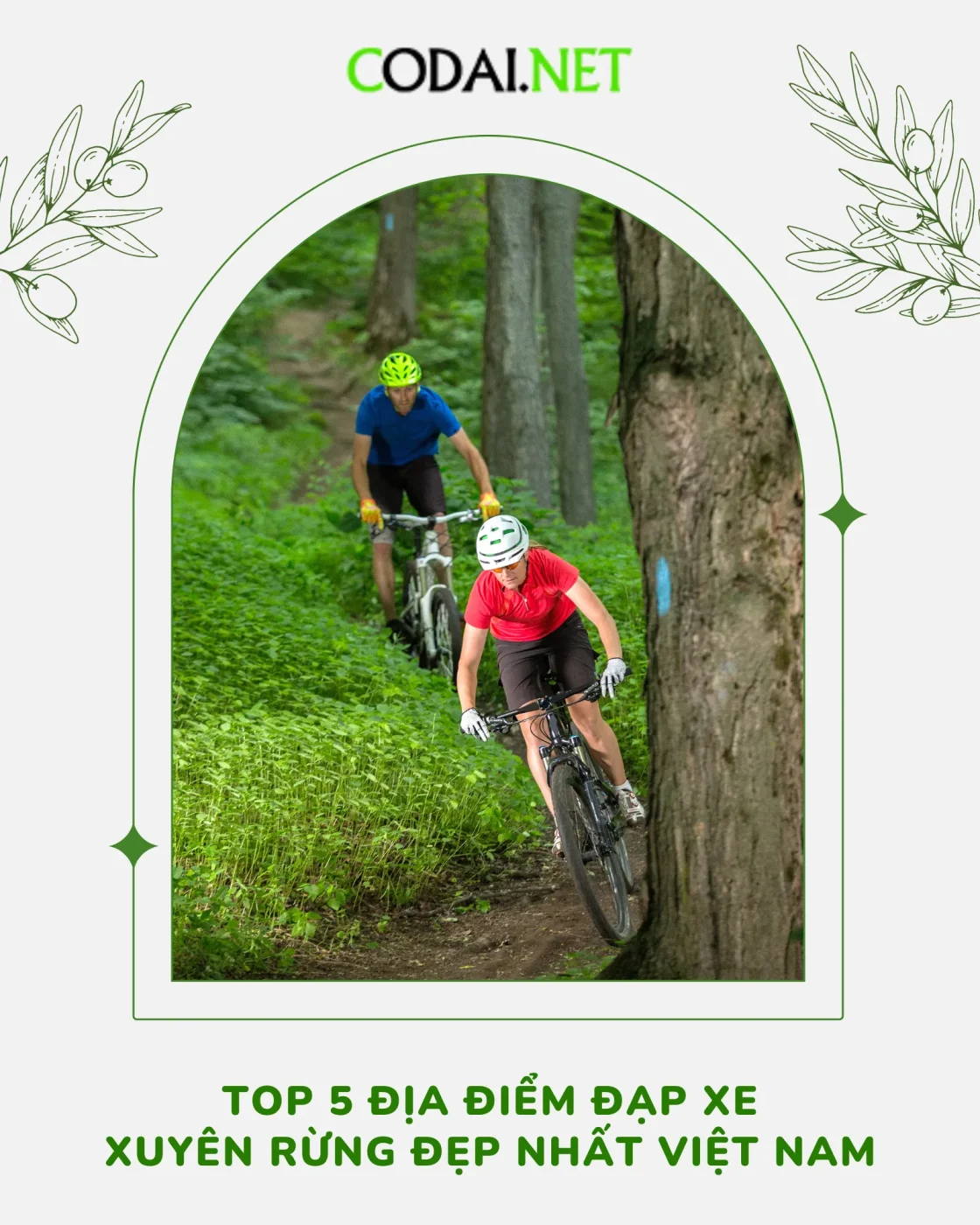 Top 5 địa điểm đạp xe xuyên rừng đẹp nhất Việt Nam