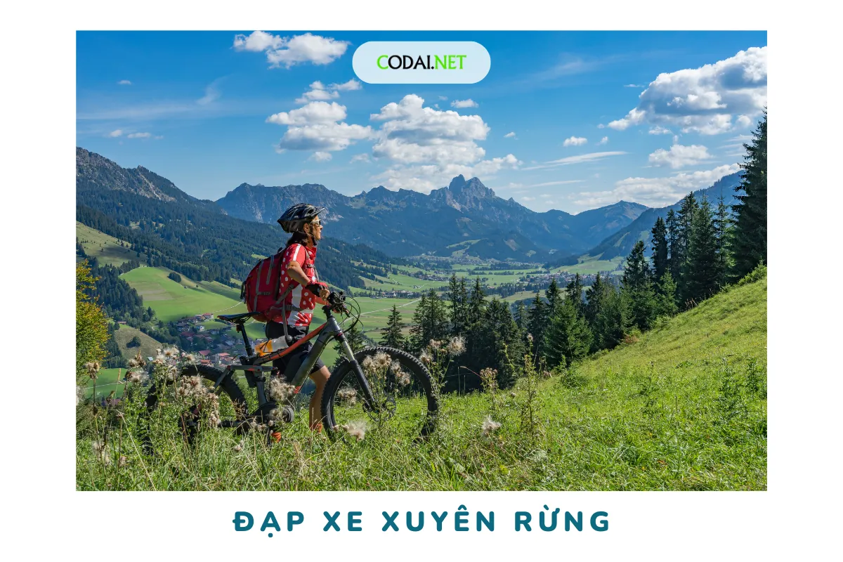 Top 5 địa điểm đạp xe xuyên rừng đẹp nhất Việt Nam 