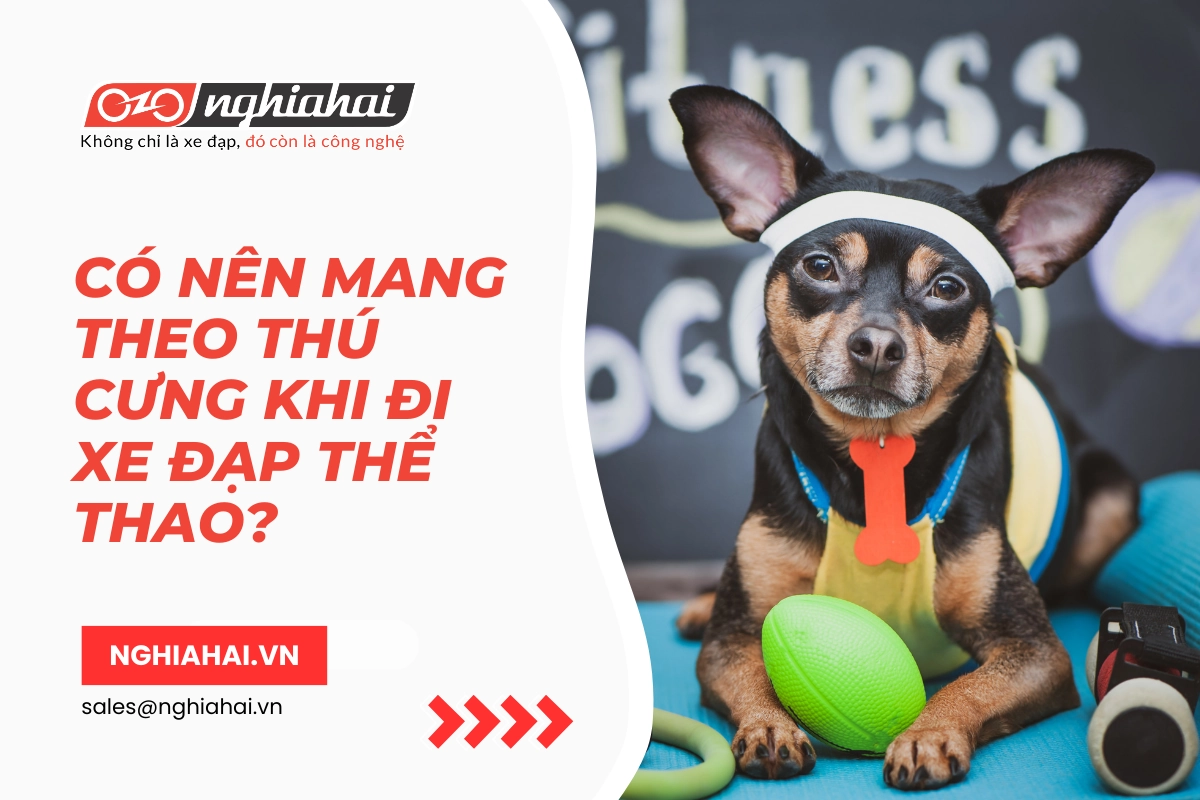Có nên mang theo thú cưng khi đi xe đạp thể thao