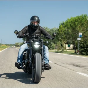 Benda Chinchilla 500