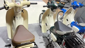 Honda Super Cub50