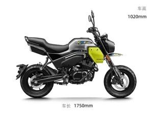 CFMoto Papio 125 XO2