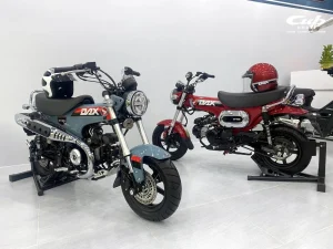 Honda Dax 125 Trail Sport